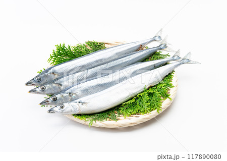 竹ざるに載った生サンマ 117890080