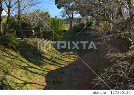 日本100名城・長篠城 日本100名城・長篠城 117890186