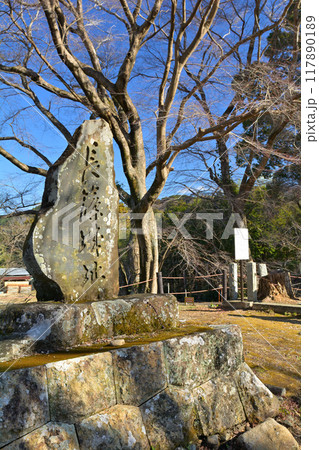 日本100名城・長篠城 日本100名城・長篠城 117890189