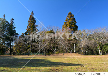 日本100名城・長篠城 117890193