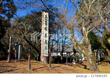 日本100名城・長篠城 日本100名城・長篠城 117890195