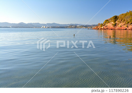 浜名湖・舘山寺 浜名湖・舘山寺 117890226
