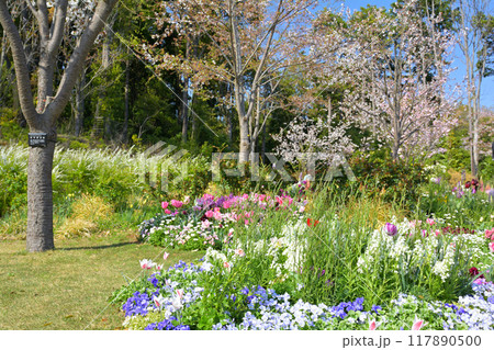 横浜・里山ガーデン 横浜・里山ガーデン 117890500