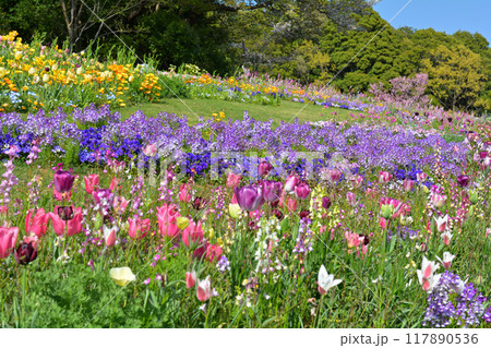 横浜・里山ガーデン 117890536