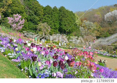 横浜・里山ガーデン 117890539