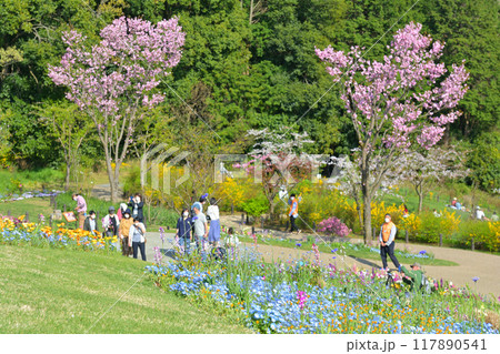 横浜・里山ガーデン 117890541