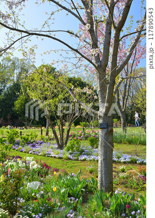 横浜・里山ガーデン 117890543