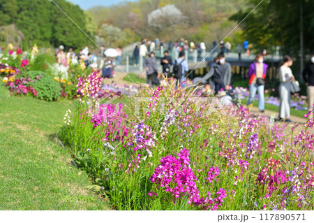 横浜・里山ガーデン 横浜・里山ガーデン 117890571