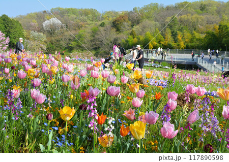 横浜・里山ガーデン 117890598