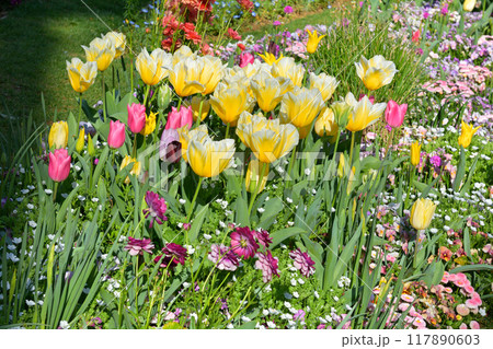 横浜・里山ガーデン 横浜・里山ガーデン 117890603