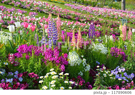 横浜・里山ガーデン 117890606