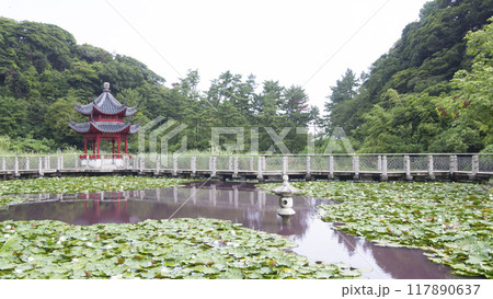 横浜上海友好記念館 横浜上海友好記念館 117890637