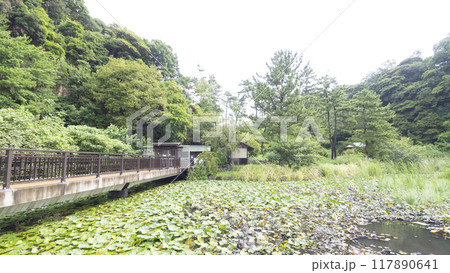横浜上海友好記念館 横浜上海友好記念館 117890641