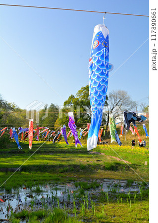 横浜・里山ガーデン 117890661