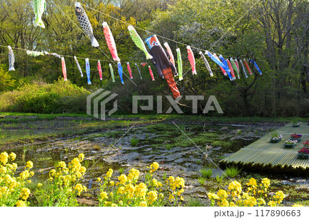 横浜・里山ガーデン 横浜・里山ガーデン 117890663