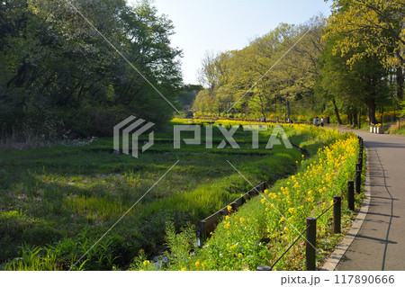 横浜・里山ガーデン 横浜・里山ガーデン 117890666