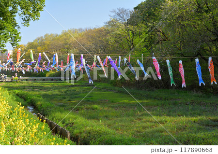 横浜・里山ガーデン 117890668