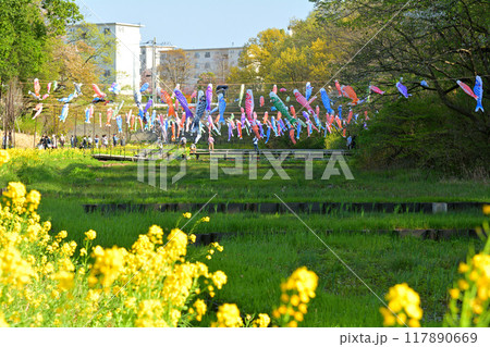 横浜・里山ガーデン 横浜・里山ガーデン 117890669