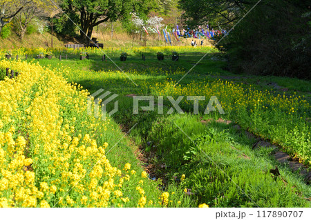 横浜・里山ガーデン 117890707