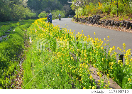 横浜・里山ガーデン 横浜・里山ガーデン 117890710