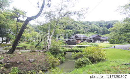 新緑に包まれた横浜市景勝地の三渓園・三渓園　 117890807