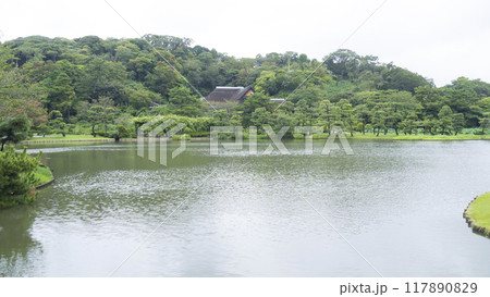 新緑に包まれた横浜市景勝地の三渓園・三渓園　 117890829