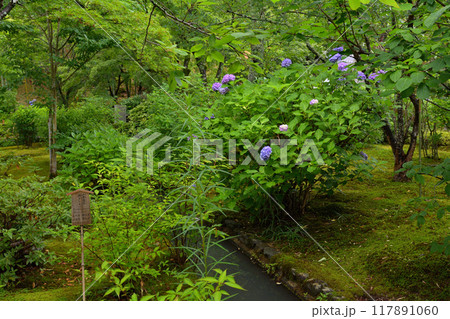 京都・天龍寺 117891060