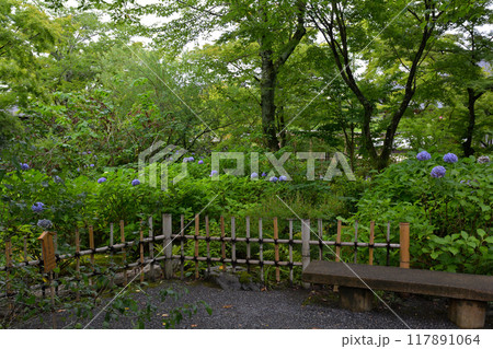 京都・天龍寺 京都・天龍寺 117891064