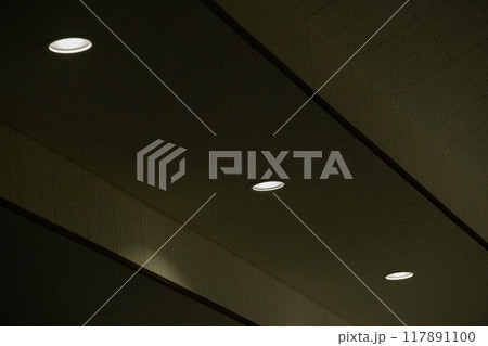 ホール天井に埋め込まれたダウンライト 117891100