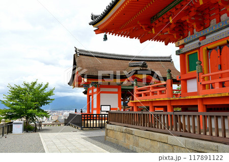 京都・清水寺 117891122