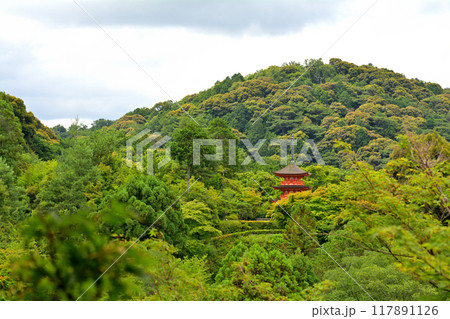 京都・清水寺 京都・清水寺 117891126