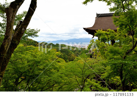 京都・清水寺 117891133