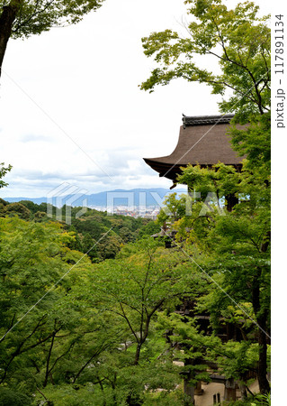 京都・清水寺 117891134