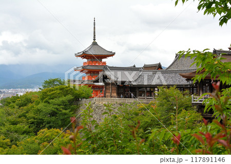 京都・清水寺 117891146