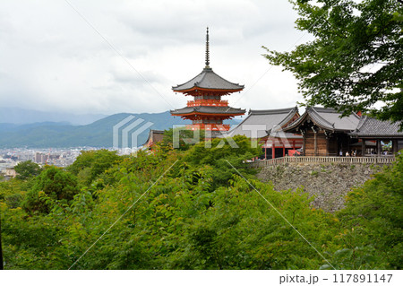 京都・清水寺 117891147