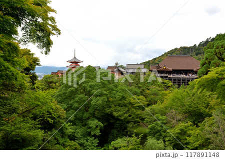 京都・清水寺 京都・清水寺 117891148