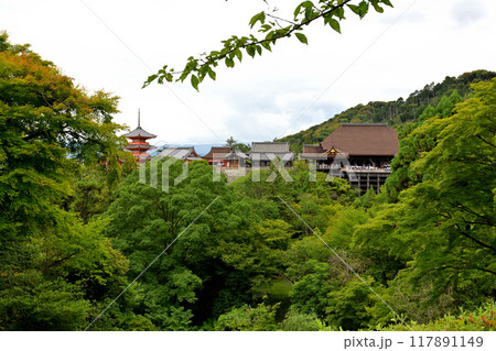 京都・清水寺 京都・清水寺 117891149