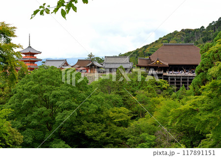 京都・清水寺 117891151