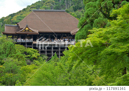 京都・清水寺 京都・清水寺 117891161