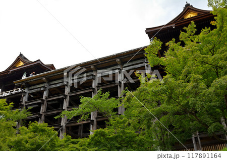 京都・清水寺 117891164