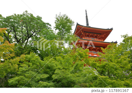 京都・清水寺 117891167