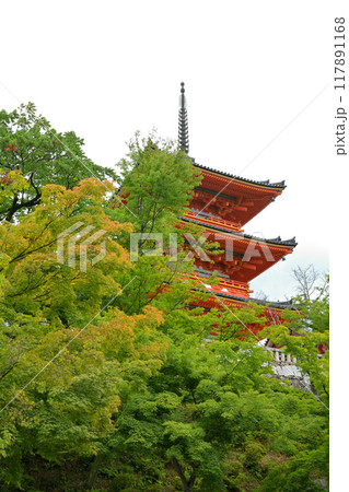 京都・清水寺 117891168