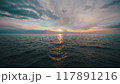 水平線 117891216