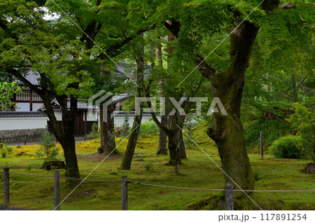 京都・南禅寺 117891254