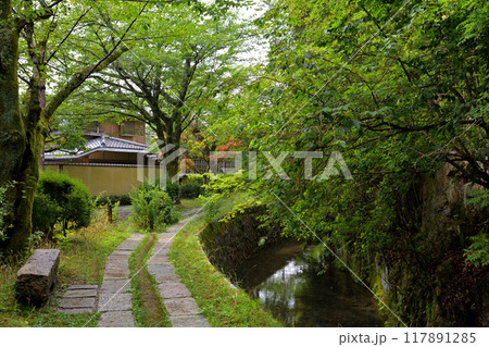京都・哲学の道 117891285