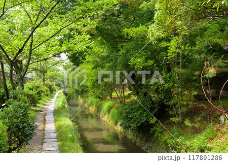 京都・哲学の道 京都・哲学の道 117891286