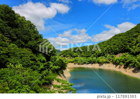知明さくら橋からの風景 知明さくら橋からの風景 117891303