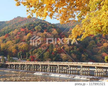 史跡、名勝として嵐山を象徴する「渡月橋」 秋の渡月橋 史跡、名勝として嵐山を象徴する「渡月橋」 秋の渡月橋 117891321