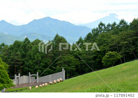 八ヶ岳まきば公園 八ヶ岳まきば公園 117891402