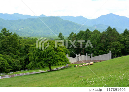 八ヶ岳まきば公園 八ヶ岳まきば公園 117891403